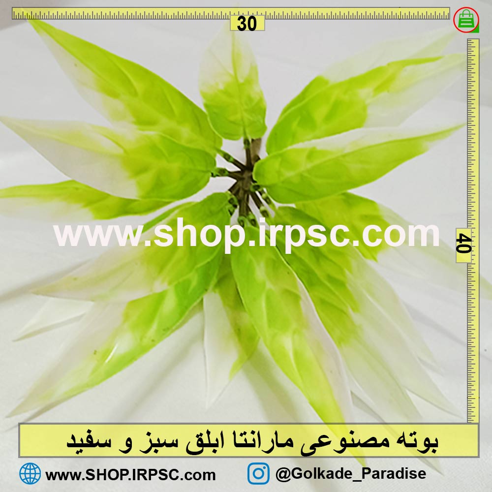 بوته مصنوعی مارانتا ابلق سبز و سفید