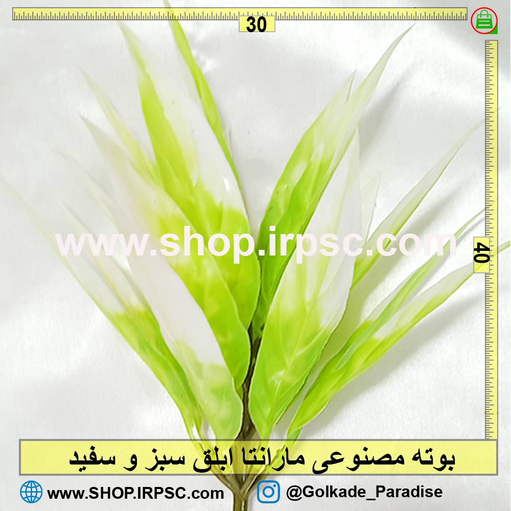 بوته مصنوعی مارانتا ابلق سبز و سفید