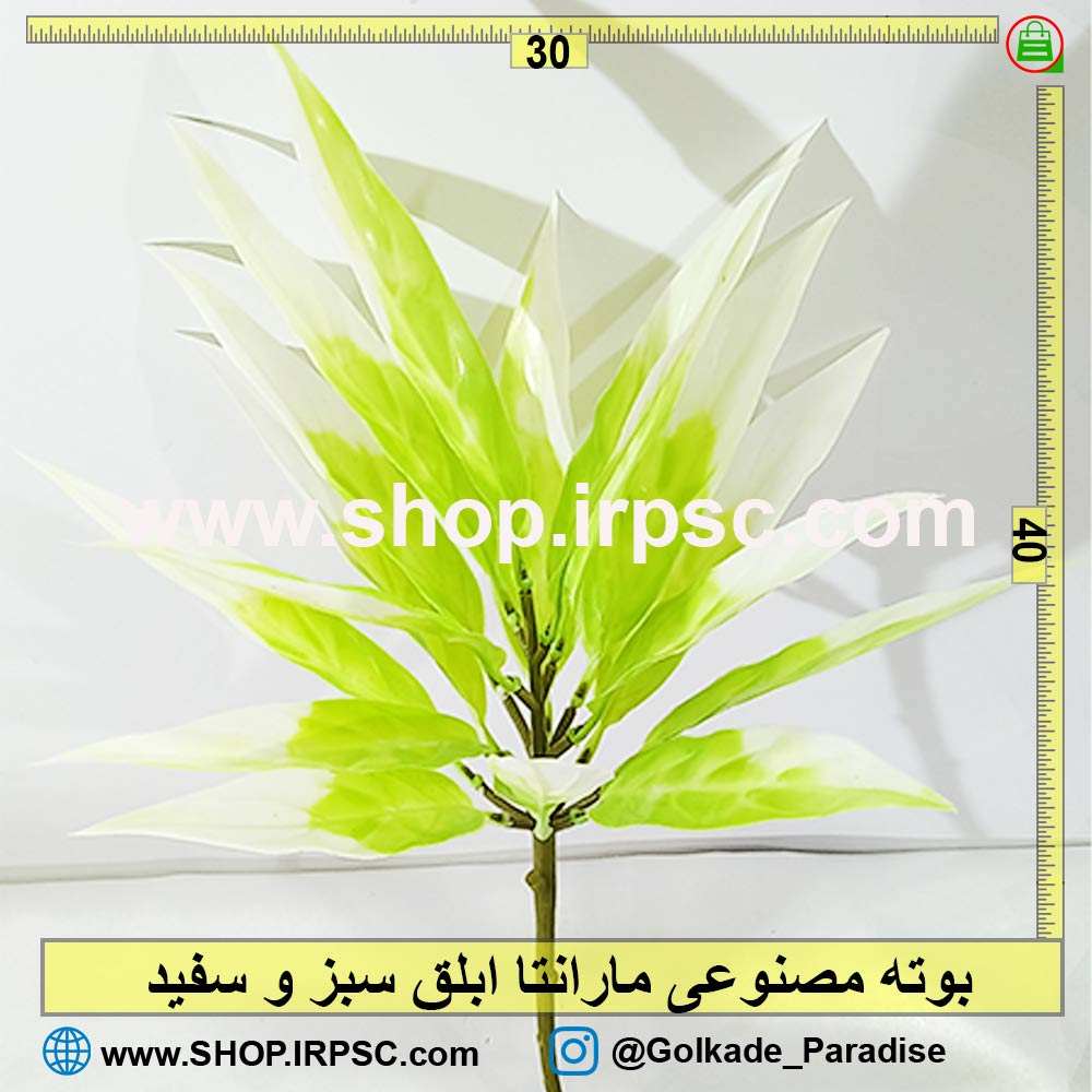 بوته مصنوعی مارانتا ابلق سبز و سفید
