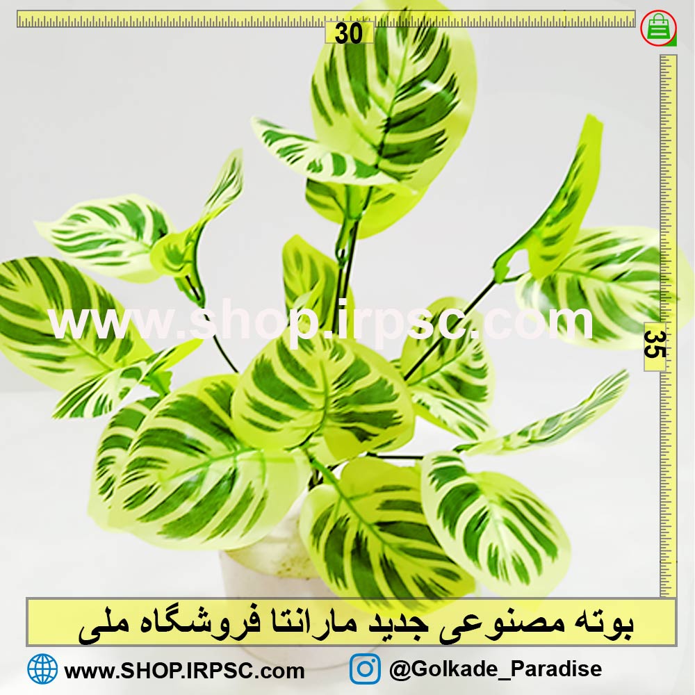 بوته مصنوعی جدید مارانتا