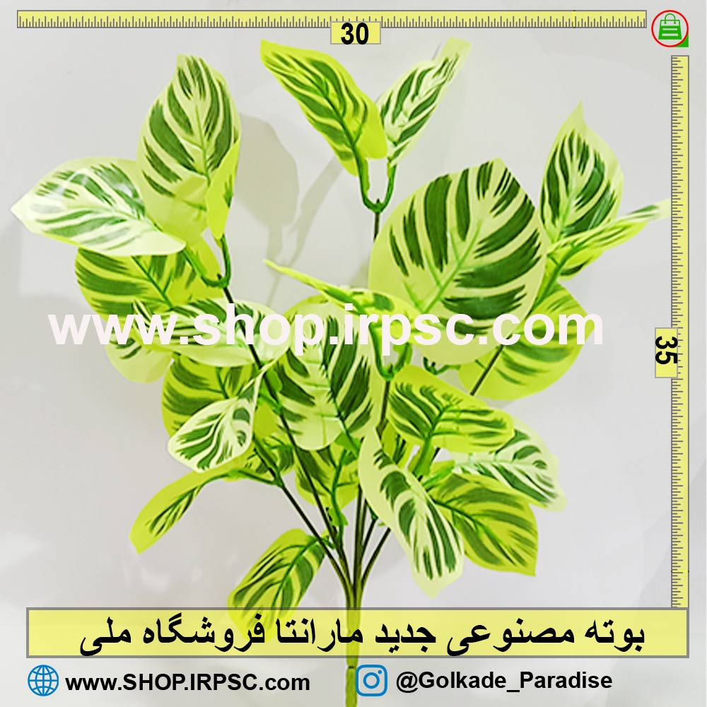 بوته مصنوعی جدید مارانتا