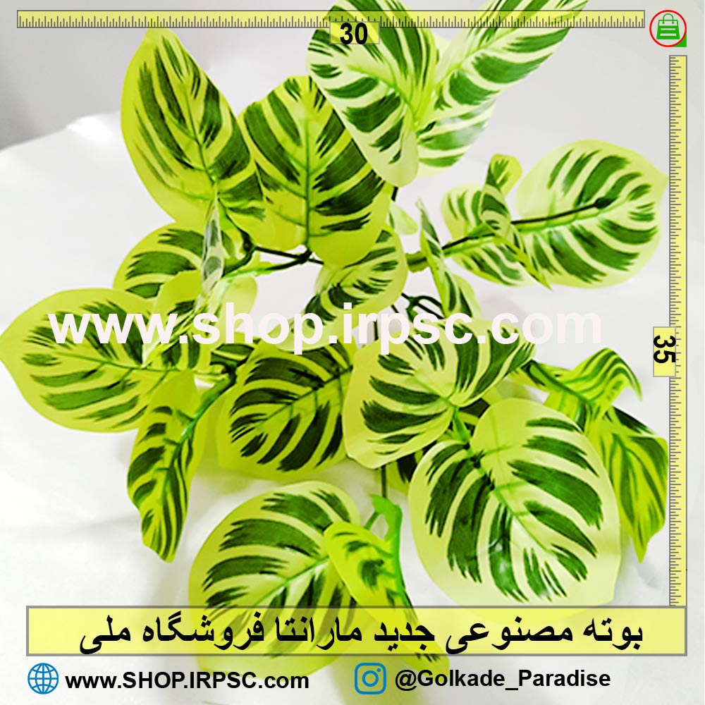 بوته مصنوعی جدید مارانتا