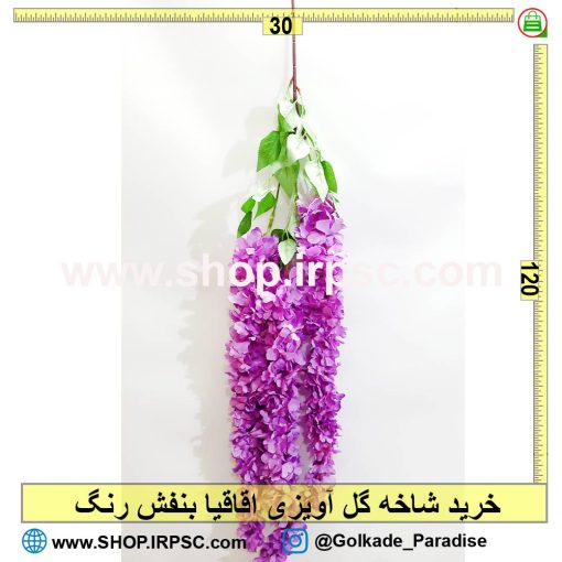 شاخه گل آویزی اقاقیا